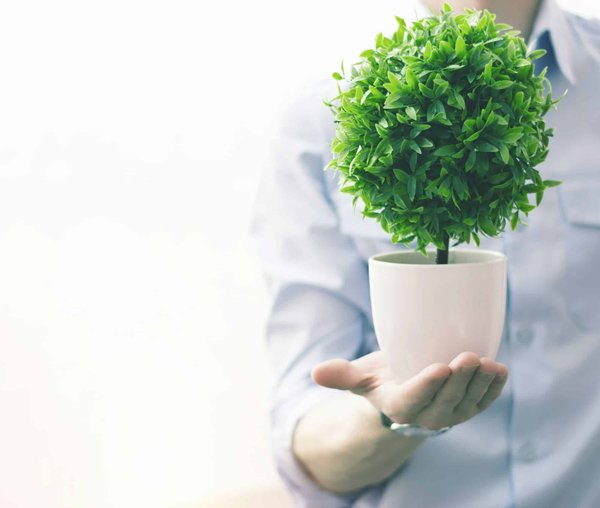 Innovations pour une solution éthique et responsable